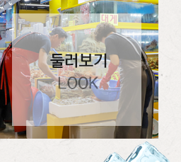 가락시장 일월수산둘러보기