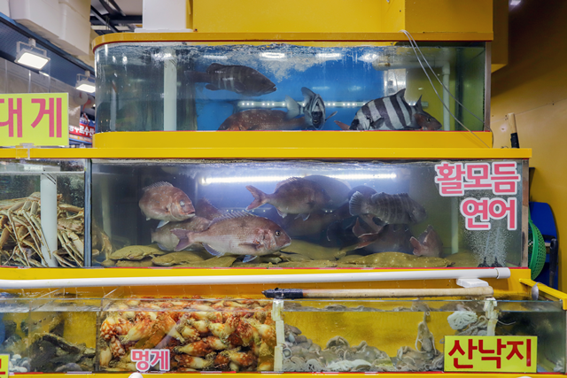 가락시장 일월수산 