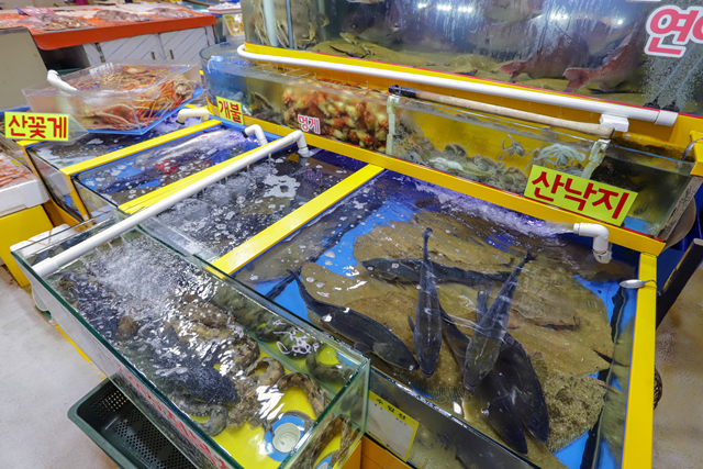 가락시장 일월수산 